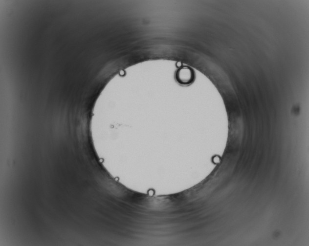 X0000103910333200809191125