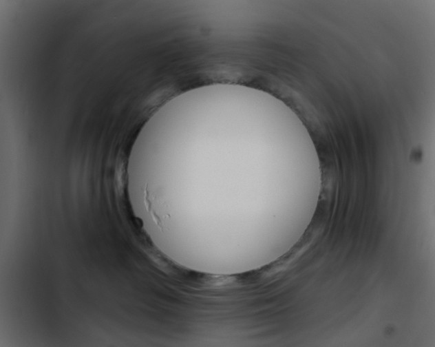 X0000103910334200809191125