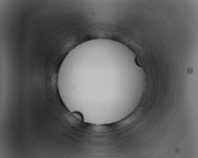 X0000103910336200809191125