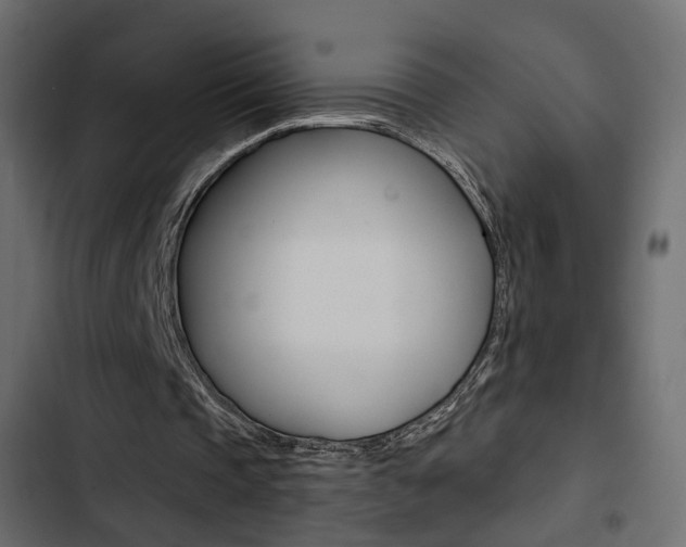 X0000103910337200809191124