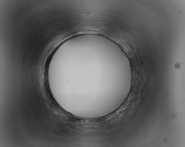 X0000103910338200809191124