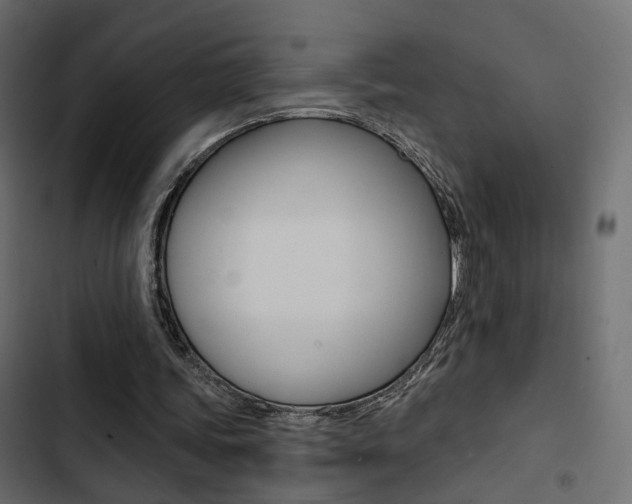 X0000103910339200809191124