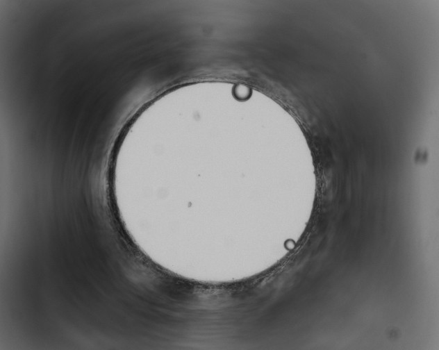 X0000103910340200809191124