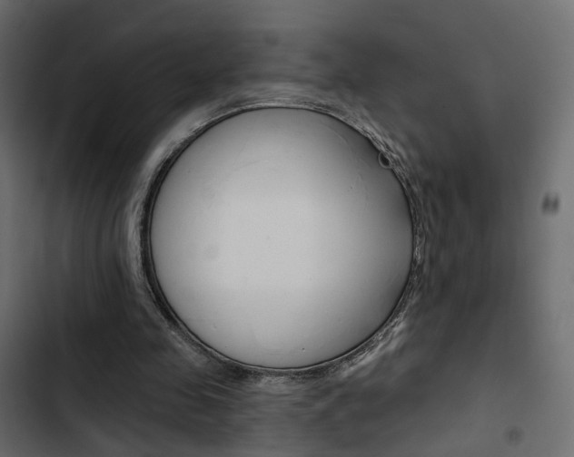 X0000103910341200809191124