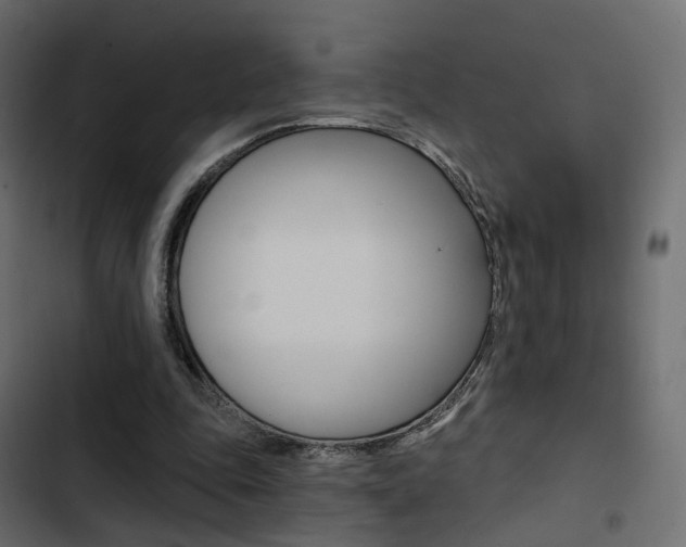 X0000103910343200809191124