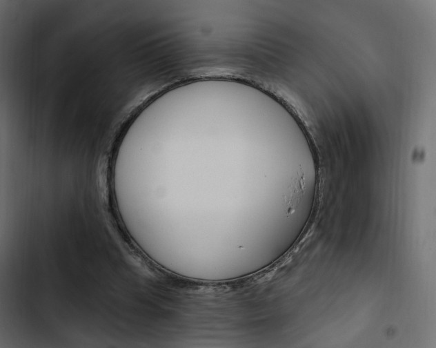 X0000103910345200809191124