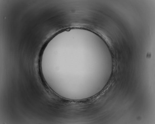 X0000103910346200809191124