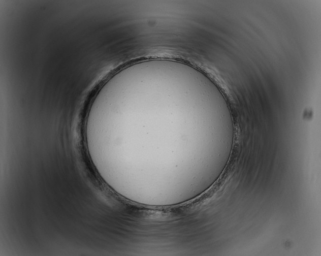 X0000103910347200809191124