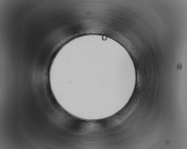 X0000103910348200809191124