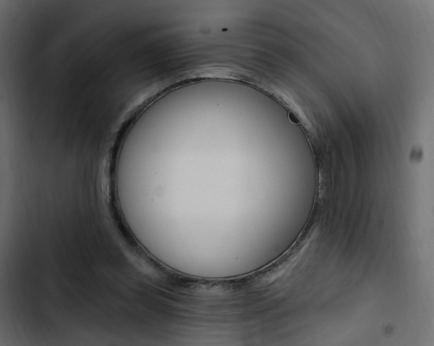 X0000103910349200809191124