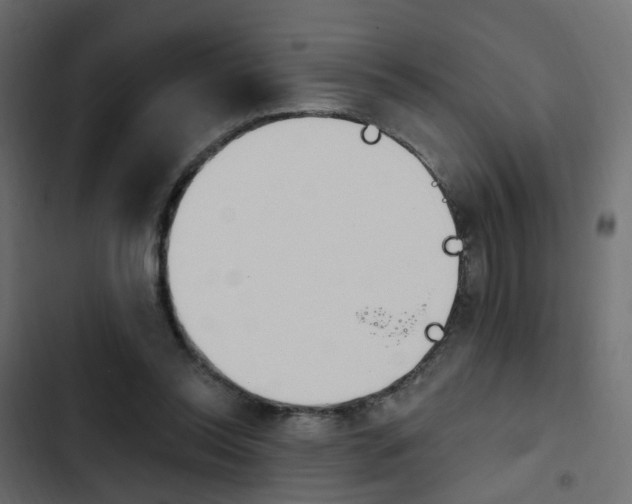 X0000103910350200809191124