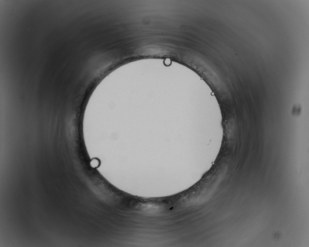 X0000103910352200809191124