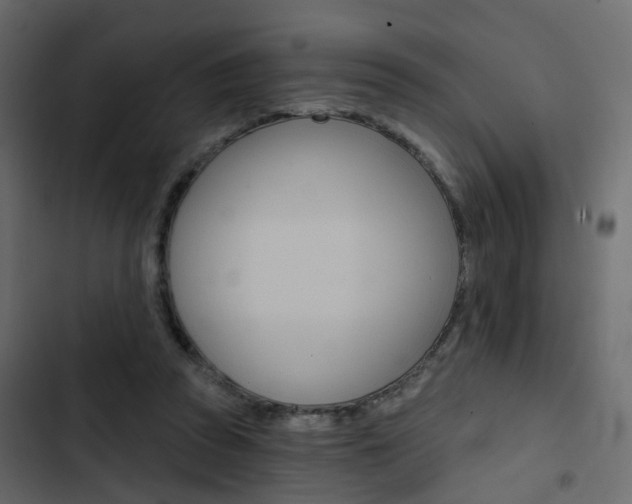 X0000103910353200809191124