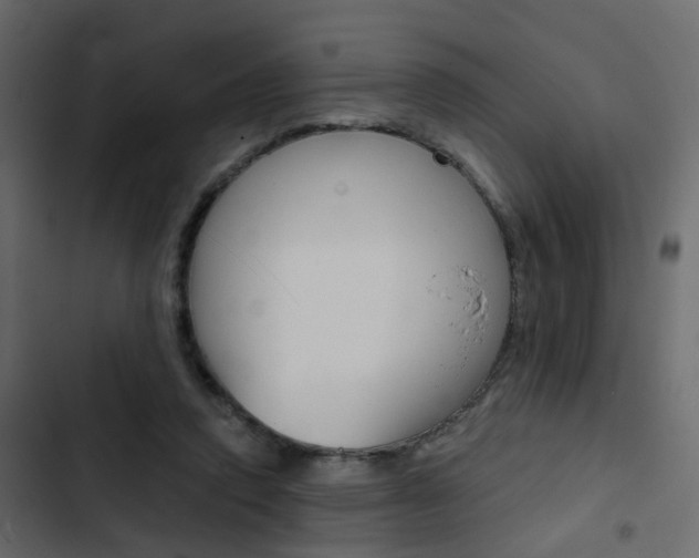 X0000103910354200809191125