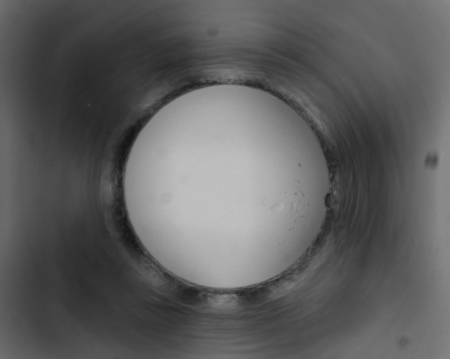 X0000103910355200809191125