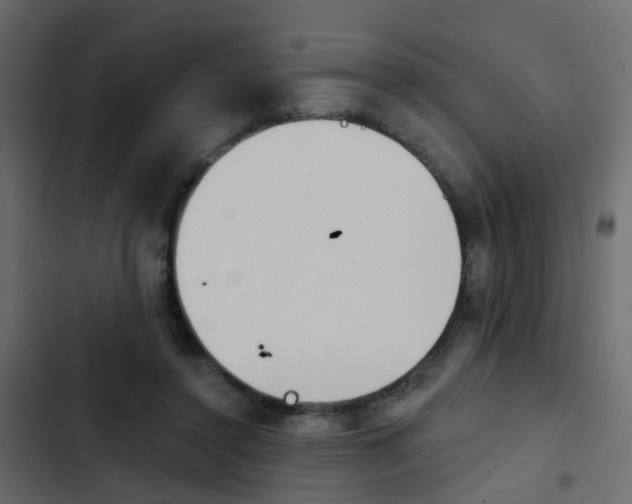 X0000103910356200809191125