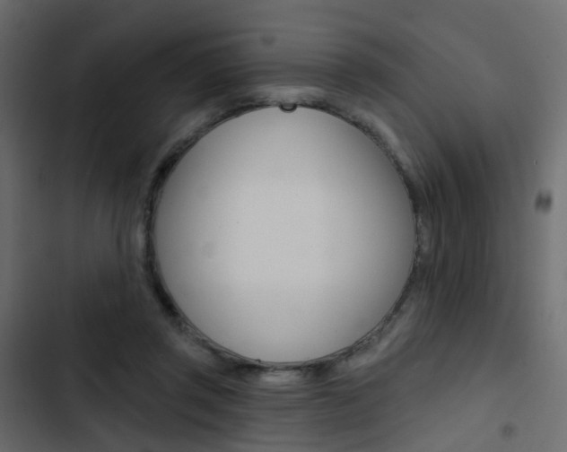 X0000103910357200809191125