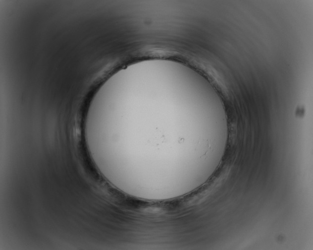 X0000103910358200809191125