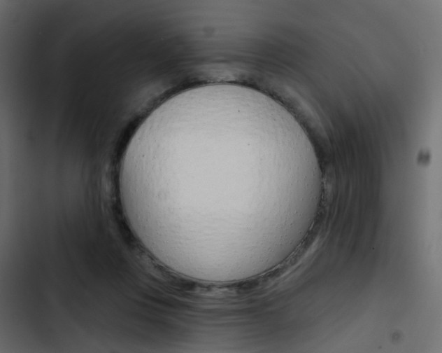 X0000103910359200809191125