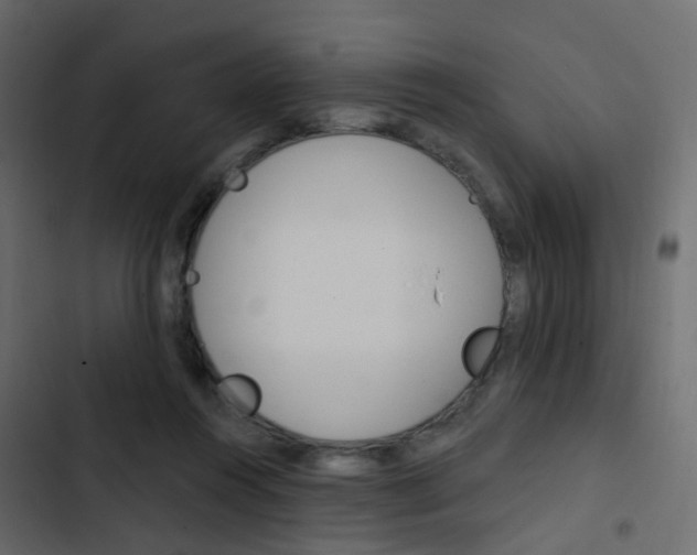X0000103910360200809191125