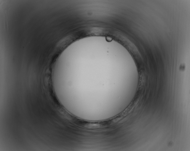 X0000103910361200809191125