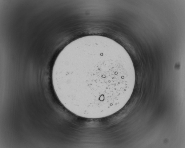 X0000103910362200809191125