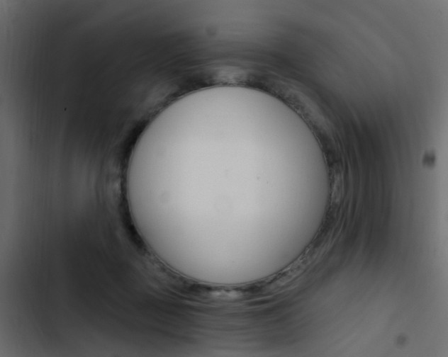 X0000103910363200809191125