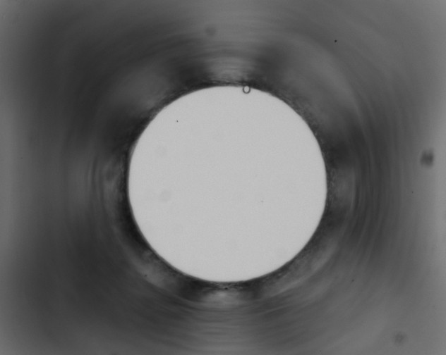 X0000103910364200809191125