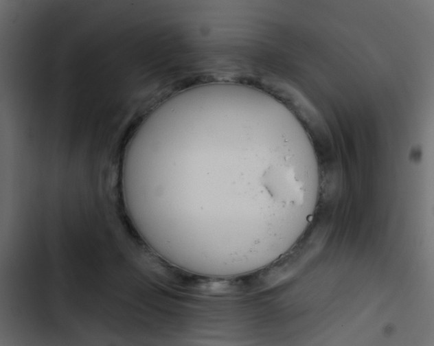 X0000103910365200809191125