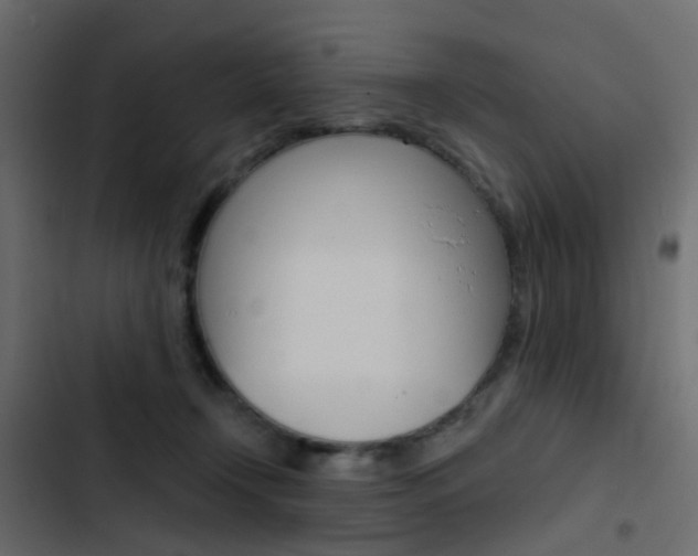 X0000103910366200809191125