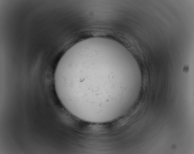 X0000103910367200809191125
