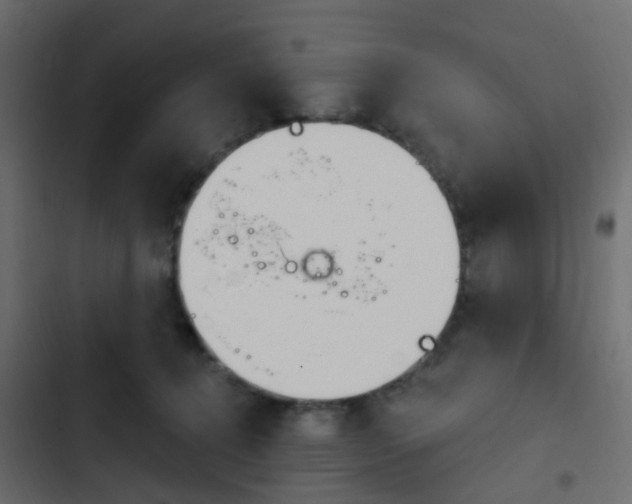 X0000103910368200809191125
