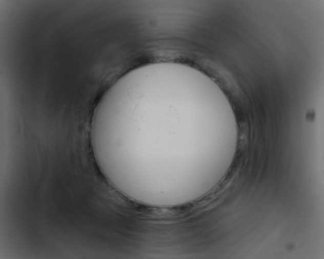 X0000103910369200809191125