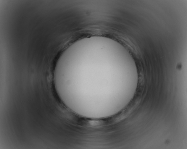 X0000103910371200809191125