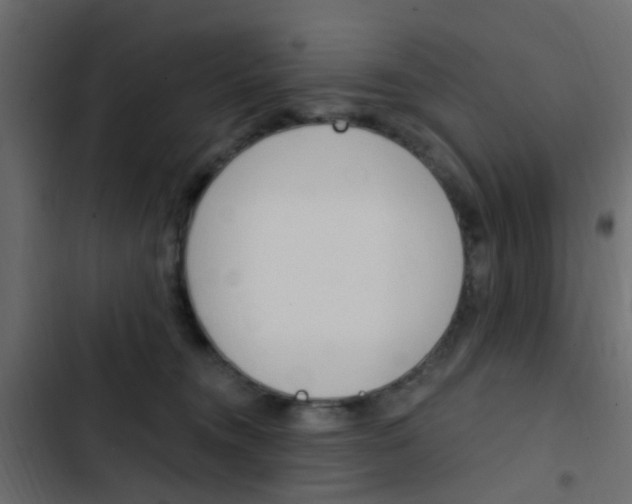 X0000103910372200809191125