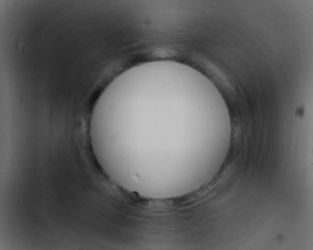 X0000103910373200809191125