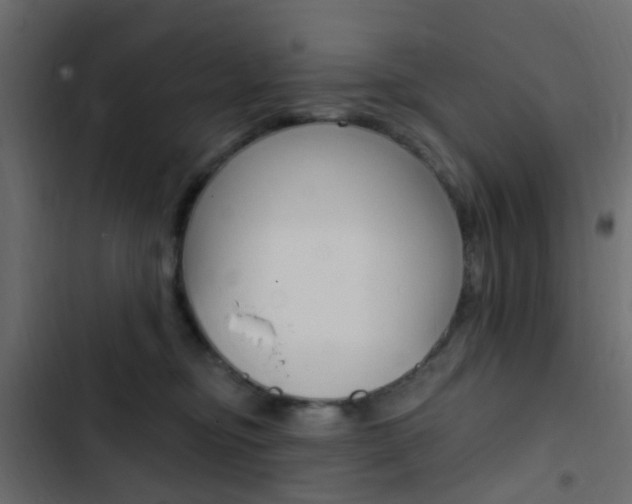X0000103910374200809191125