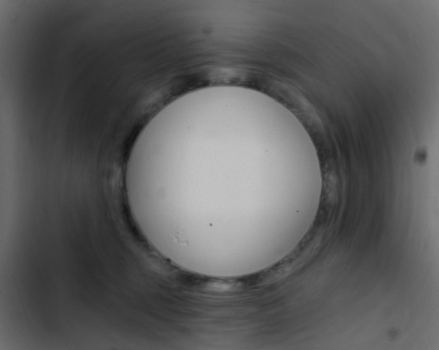 X0000103910375200809191125