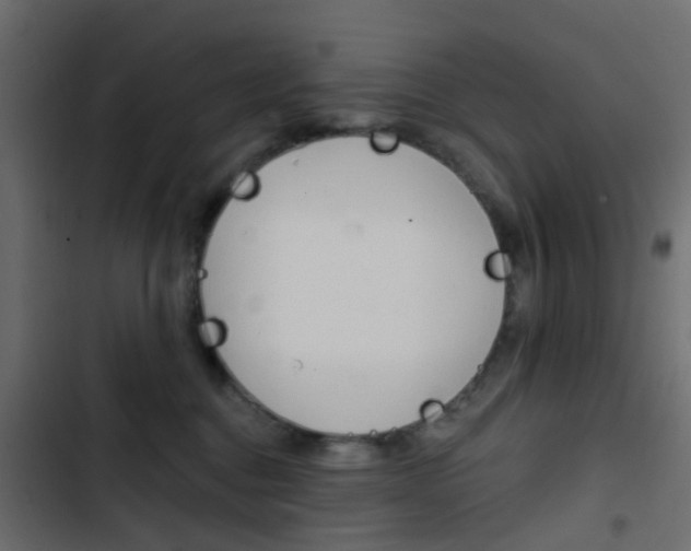 X0000103910376200809191125