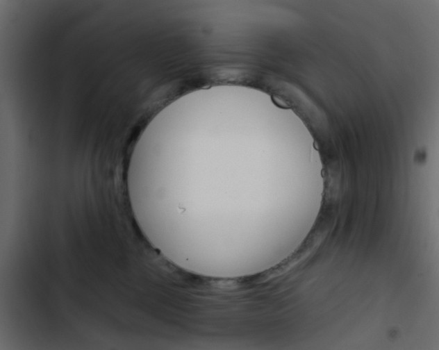 X0000103910377200809191125