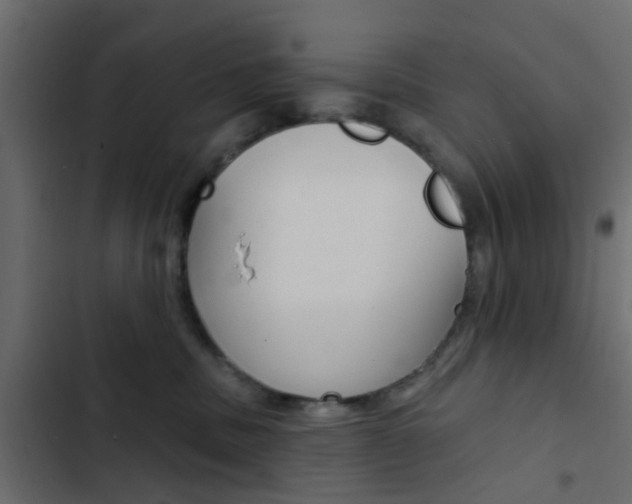 X0000103910379200809191125