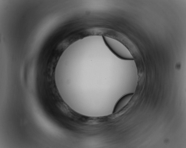 X0000103910381200809191125