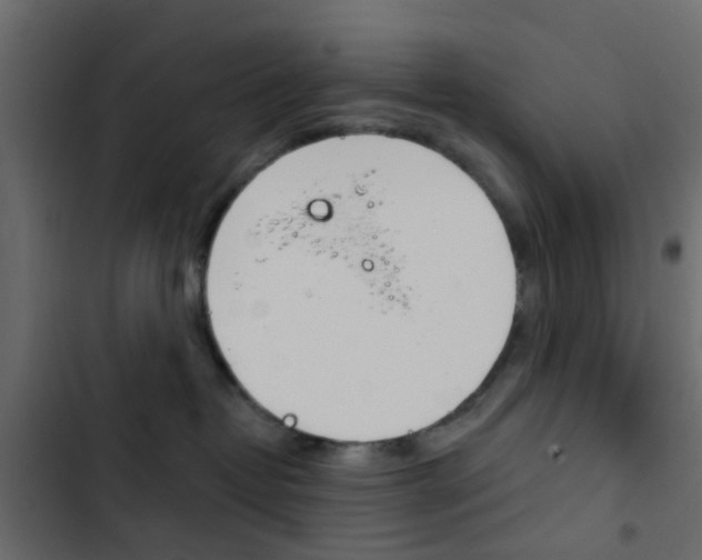 X0000103910382200809191125