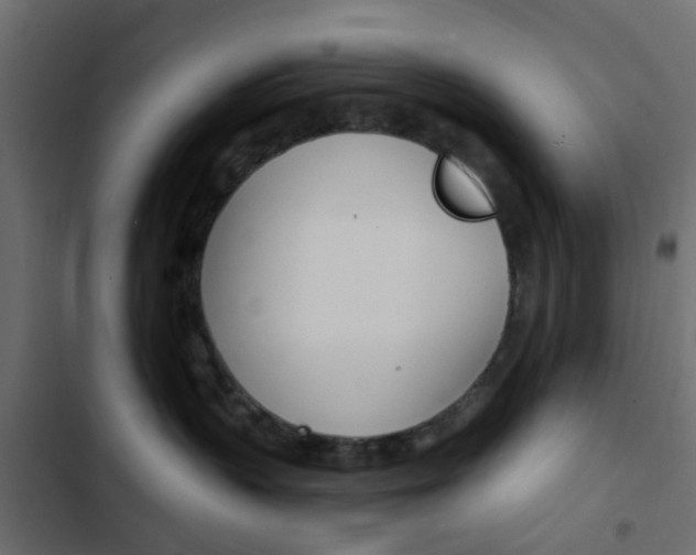 X0000103910383200809191125