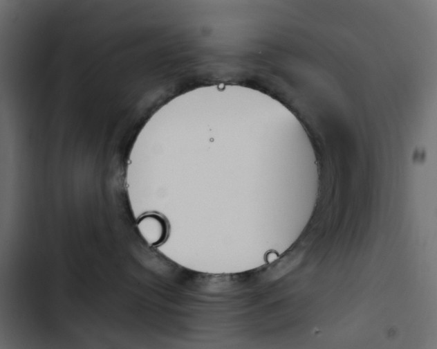 X0000103910384200809191125