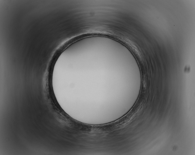 X0000103910388200809191124