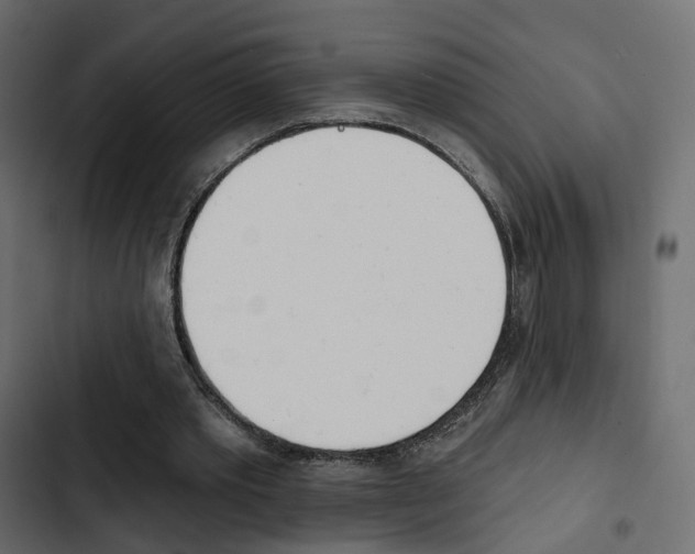 X0000103910389200809191124