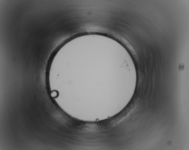 X0000103910391200809191124