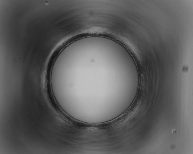 X0000103910392200809191124