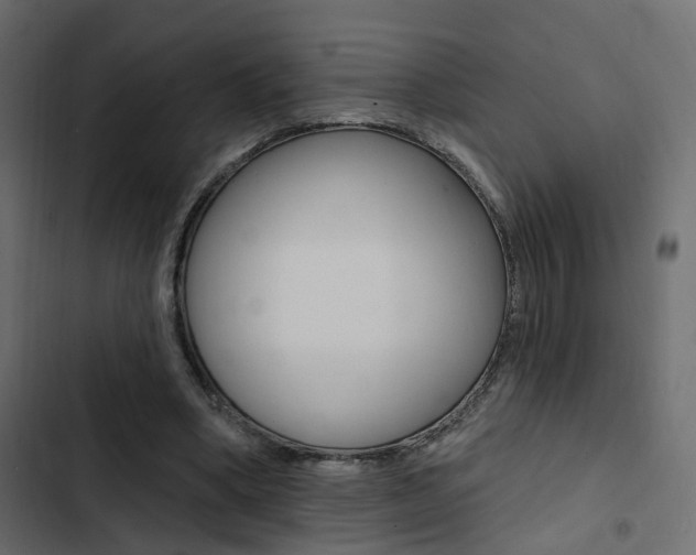 X0000103910394200809191124